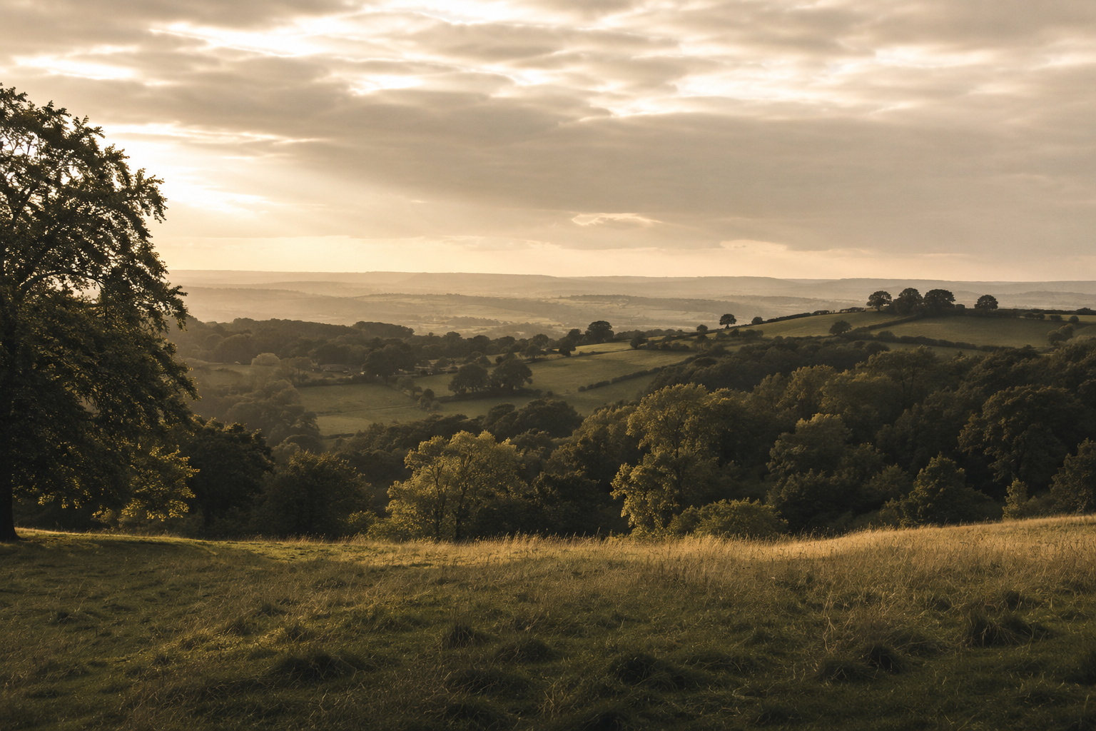 Staffordshire countryside